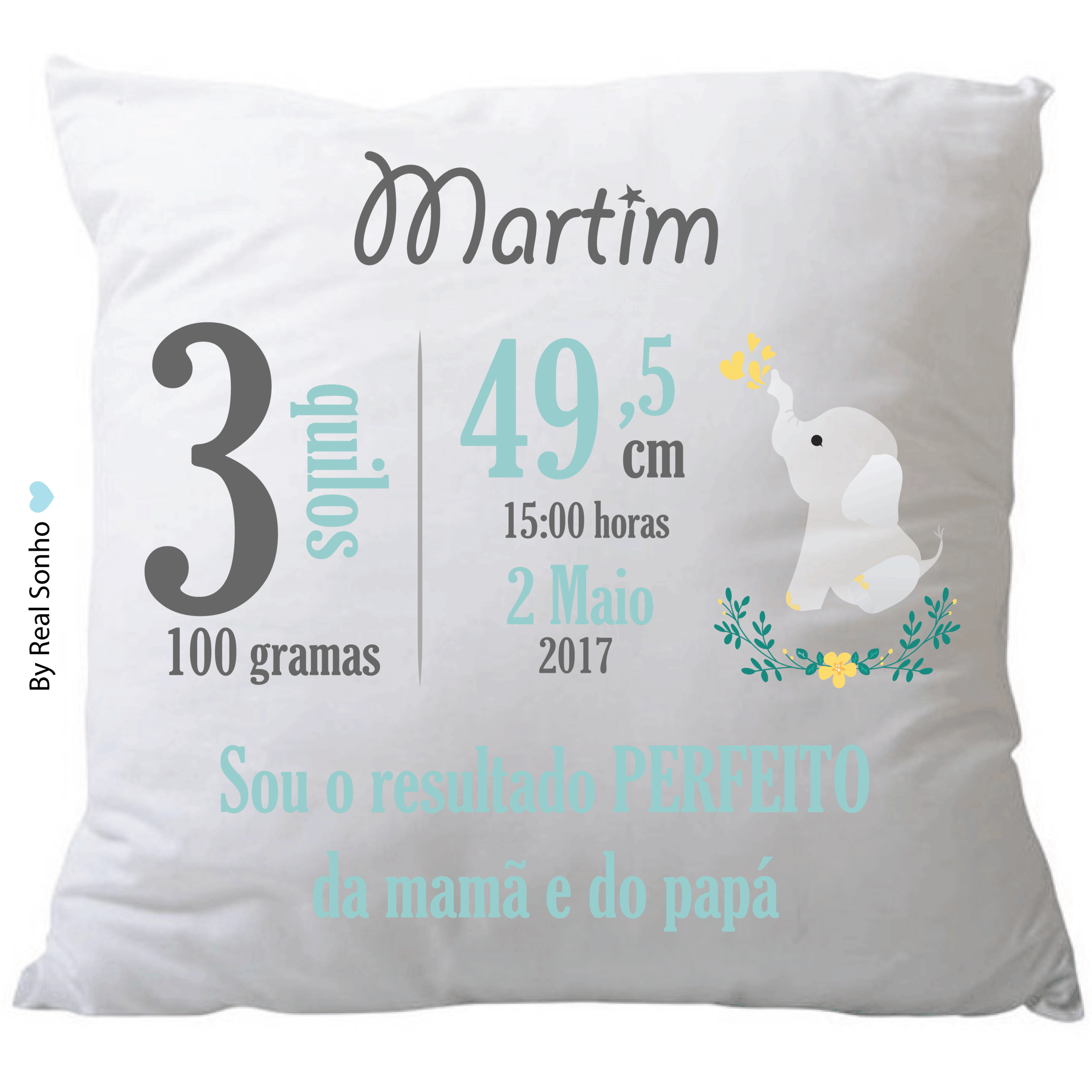 ALMOFADA NASCIMENTO  I  Elefante verde água