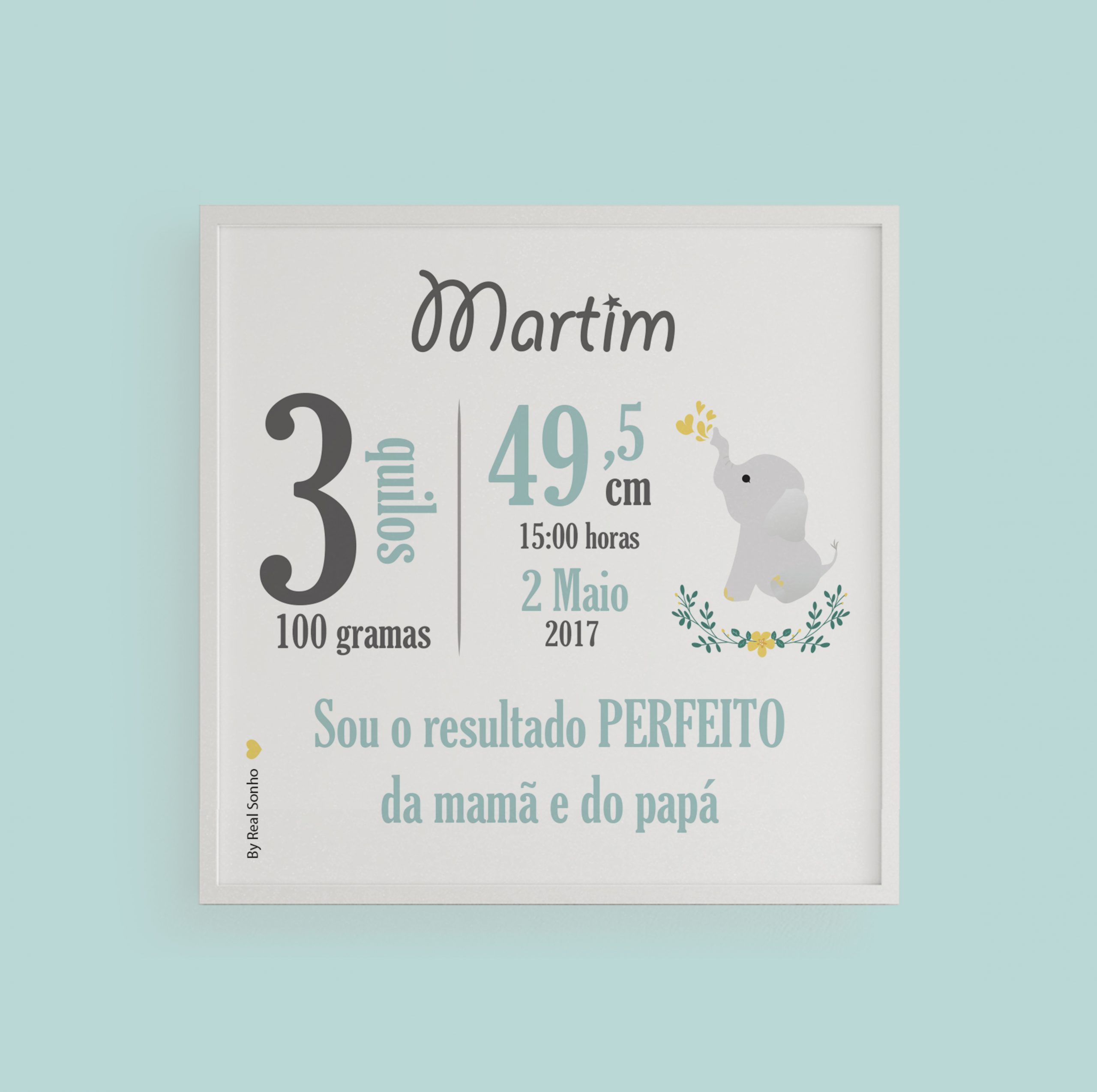 MOLDURA NASCIMENTO  I  Elefante verde água