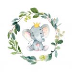 Coleção Elefante cinza