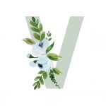 Coleção inicial (menino)