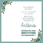 Coleção Navy and Tiffany