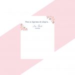 Coleção Navy and Blush